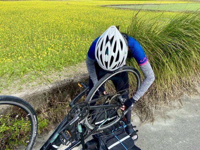 騎士在整片的花海前將單車倒過來維修後輪